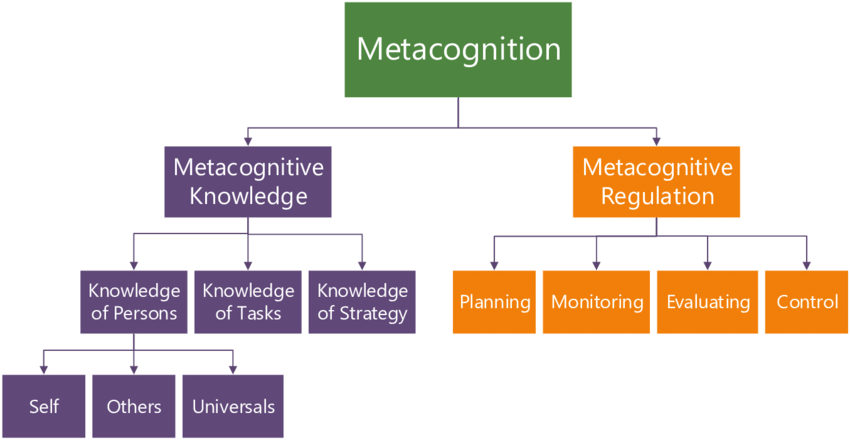Theoretical Model of Metacognition