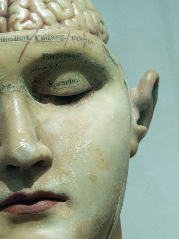 The James'Lange Theory of Emotions - Featured Image