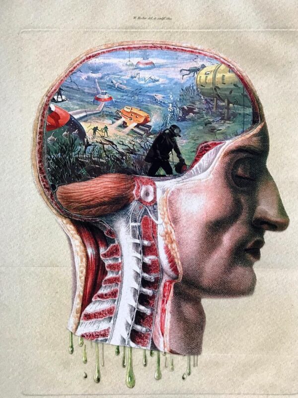 Attribution Theory: Manage your Perceptions & Motivation | Featured Image