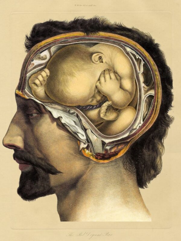 Theories of Emotion in Psychology: Quick Guide featured image - Matt Cunningham Art