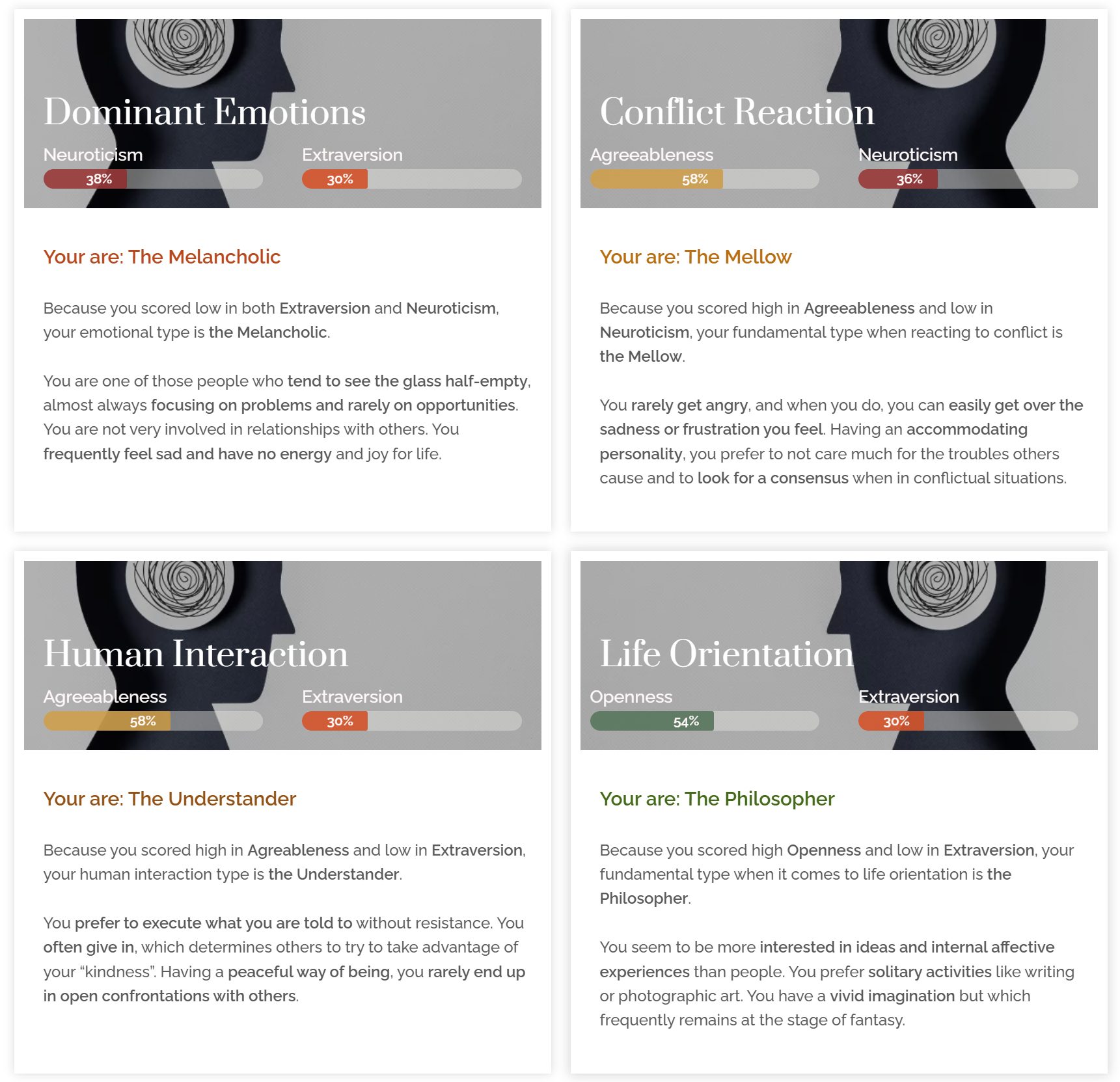 Complete Report for the Big Five Personality Test | Fundamental Types