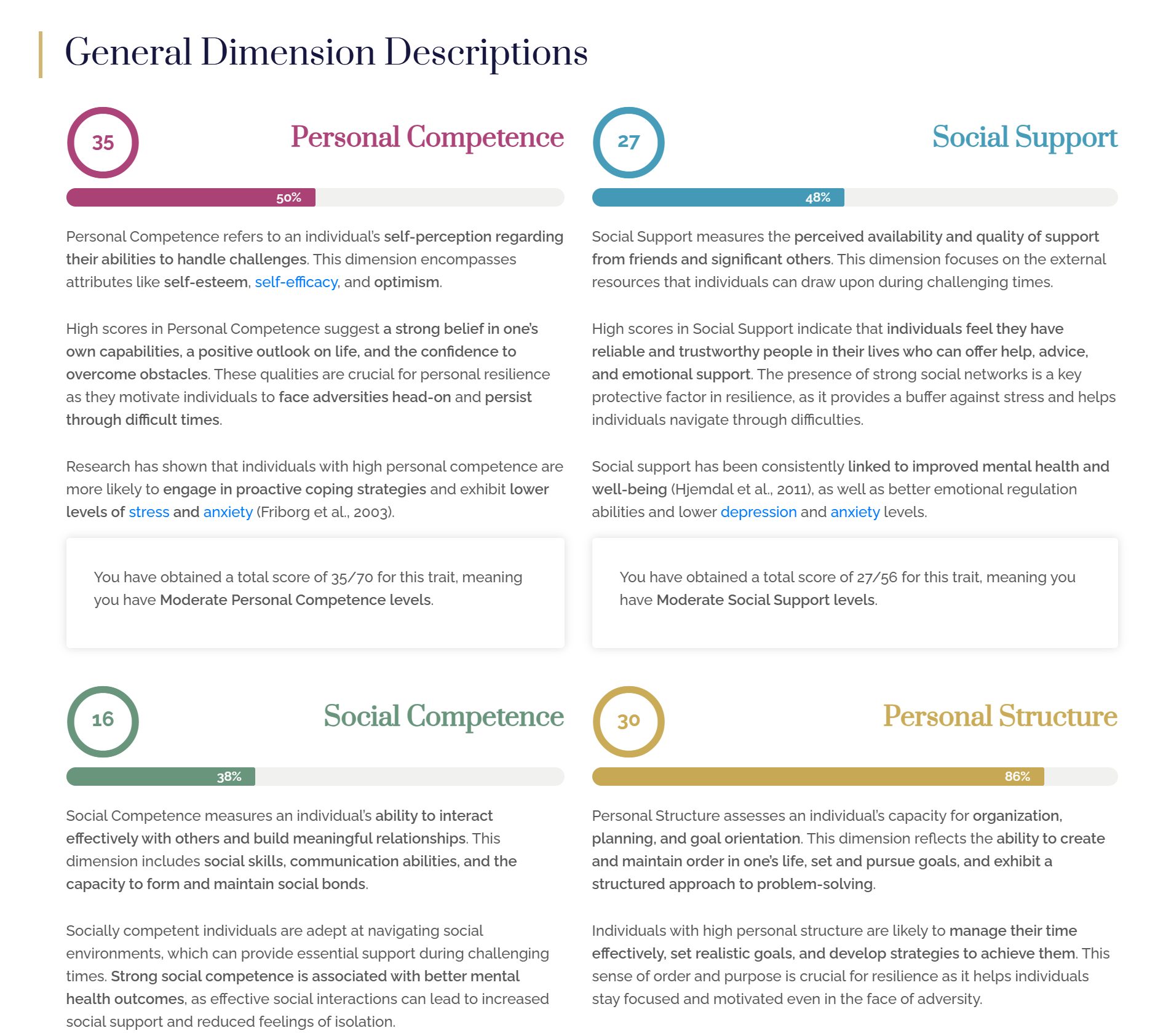 Complete Report for the Resilience Scale for Adults | General Dimension Descriptions