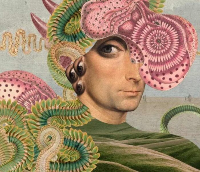 Understanding Personality Assessment Tests: A Look at the Big Five and JPTI